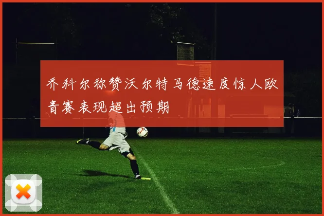 乔科尔称赞沃尔特马德速度惊人欧青赛表现超出预期