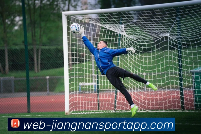 江南体育平台生态图